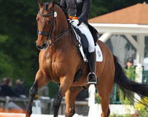 Lorraine van den Brink on Murdock