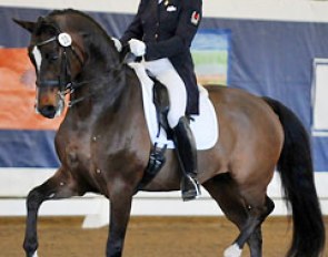 Karen Pavicic and Don Daiquiri at the 2013 CDI Del Mar :: Photo © Lindsay McCall