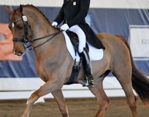 Steffen Peters on Vaya Con Dios at the 2013 CDI Del Mar :: Photo © Lindsay McCall