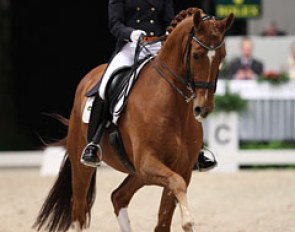Adelinde Cornelissen and Parzival at the 2013 CDI-W 's Hertogenbosch :: Photo © Astrid Appels