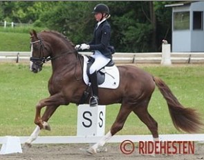Silje Bakken and Tailormade Ralph Lauren :: Photo © Ridehesten.com