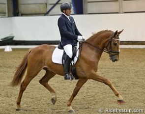 Per Skjaerbaek and Campari lead the 5-year old ranking for the 2013 Danish Young Horse Championships :: Photo © Ridehesten.com