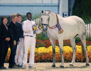 Sanibelle (by Sir Donnerhall  I x Lorke x Der Radetzky), Grand Champion of the 2013 Devon Breed Show :: Phoot © GOV