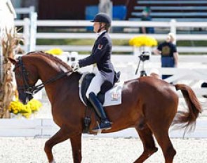 Ashley Holzer and Jewel's Adelante at the 2013 Dressage at Devon CDI-W :: Photo © Sue Stickle
