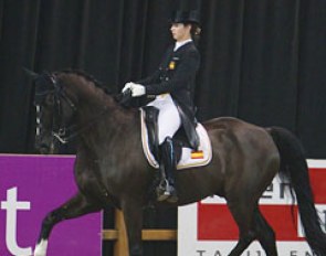 Alexandra Barbançon Mestre on the Hanoverian Mr Q (by Matcho AA)