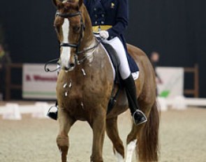 French Catherine Henriquet on Paradieszauber (by Paradiesvogel)