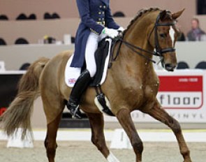Lesley Peyton Gilbert on the Trakehner Garuda K (by Munchhausen x Angard)