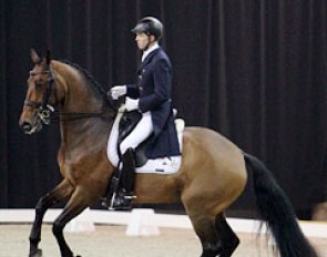 Derk Schekkerman on the 12-year old Dutch mare Ucola (by Krack C x Caritas)