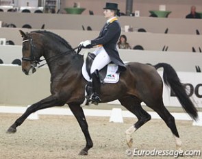 Lotje Schoots on the Westfalian bred Originate (by Obsession)