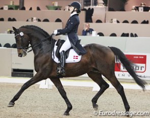Maria Vesterholm and Pasteur at the 2013 CDI Drachten :: Photo © Astrid Appels