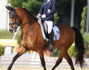 Hesselteich's Desert Rose at the 2013 European Pony Championships :: Photo © Astrid Appels