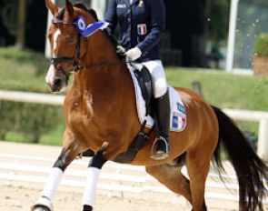 Hesselteich's Desert Rose at the 2013 European Pony Championships :: Photo © Astrid Appels