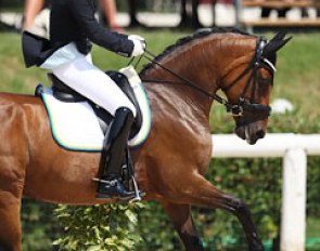 Felicia Brannstrom on Janine
