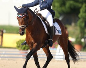 Italian Alice Campanella rides a one-handed extended trot on Flamenco Star