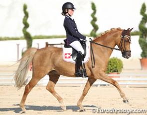 Tiesto at the 2013 European Pony Championships in Arezzo, Italy :: Photo © Astrid Appels