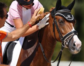 Demy Kurstjens gives Ciske a pat while the pony gets a sponge bath