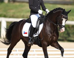 Winning the award for cutest pair ever: Czech Tereza Markuskova on the B-section pony Limetree Aracorn. While this pony doesn't have big gaits, Markuskova did a great job at presenting her obedient black mount
