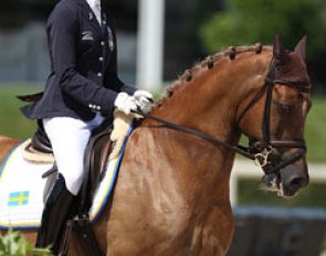 Swedish Amanda Svanberg on the super talented B Capriole. The pony was a bit too wild and strong for her today but the pair showed great potential