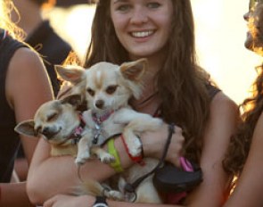 British Erin Williams with her chihuahua collection