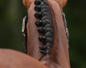 Don Johnson's beautiful braids