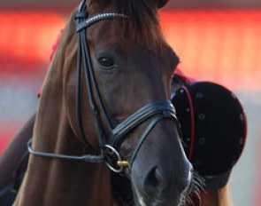 Check out Donnperignon's whiskers hit by morning sunlight