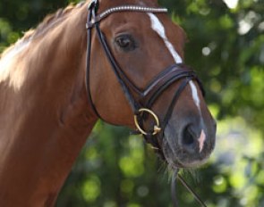 Cathrine Rasmussen's Fernandez