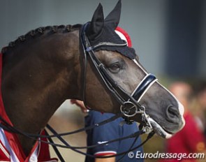 Valegro at the 2013 European Dressage Championships :: Photo © Astrid Appels