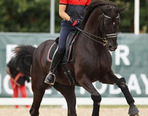 Marc Boblet on Noble Dream