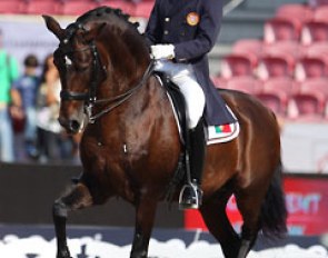 Gonçalo Carvalho and Rubi AR at the 2013 European Championships :: Photo © Astrid Appels