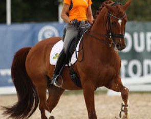 Adelinde Cornelissen schooling Parzival on Tuesday at the 2013 European Championships :: Photo © Astrid Appels