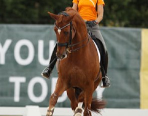 Adelinde Cornelissen on Parzival