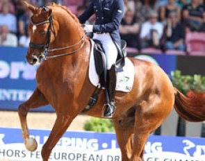 Adelinde Cornelissen on Parzival