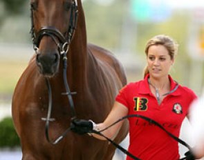 Belgian Julie de Deken and her Holsteiner stallion Lucky Dance did an immaculate presentation at the vet inspection at the 2013 European Championships :: Photo © Astrid Appels