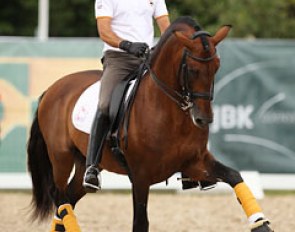Spanish Jose Daniel Martin Dockx on Grandioso