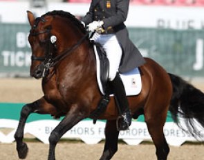 Jose Daniel Martin Dockx and Grandioso at the 2013 European Dressage Championships :: Photo © Astrid Appels