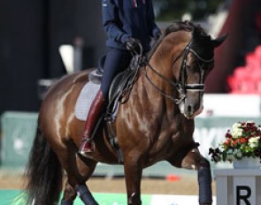 Olympic champions Charlotte Dujardin and Valegro training in the main stadium at the 2013 European Dressage Championships :: Photo © Astrid Appels