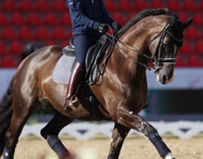 Charlotte Dujardin on Valegro