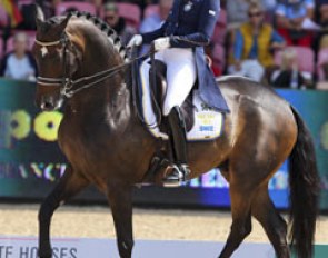Tinne Vilhelmson on Don Auriello