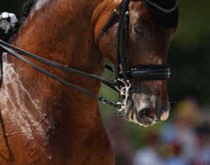 Horsebo Smarties
