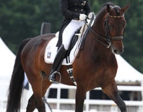 Claire Louise Averkorn on Condio B