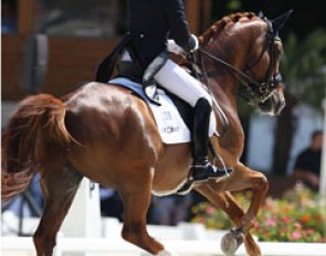 Cathrine Dufour on Cassidy