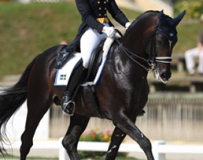 Mathilde Hannell's Webster struggled with the heat and appeared totally overcooked in the ring for their freestyle. The entire test looked laboured and the horse was not in front of the leg