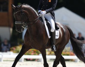 Stephanie Kooijman on Winston
