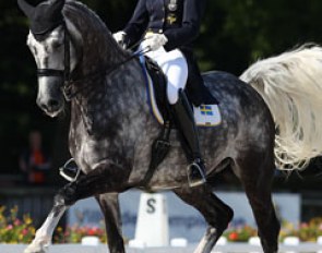 Marina Mattsson and Cassio at the 2013 European Young Riders Championships :: Photo © Astrid Appels