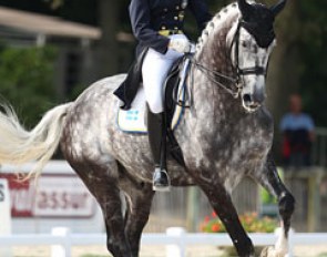 Marina Mattsson on Cassio
