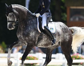 Marina Mattsson on Cassio