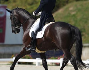 Juan Matute Guimon on Don Diego