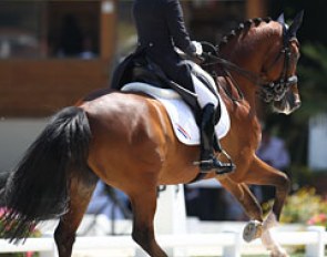 Anne Meulendijk's 8-year old Avanti was tired on the last day of competition but still gave it his all