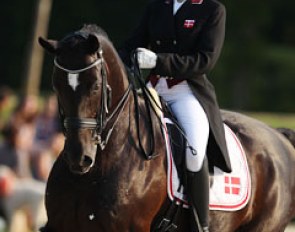 Danish Pernille Teidor Olesen on Cathrine Dufour's former junior rider's horse Don Dino (by Don Cardinale)