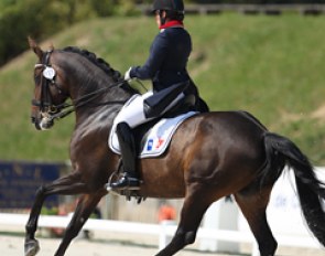 Top scoring French rider Salome Sadoun on Marina van den Berghe's 7-year old Dona Primera. The kur was their last test together as Salome will start a university programme and focus on her education. 